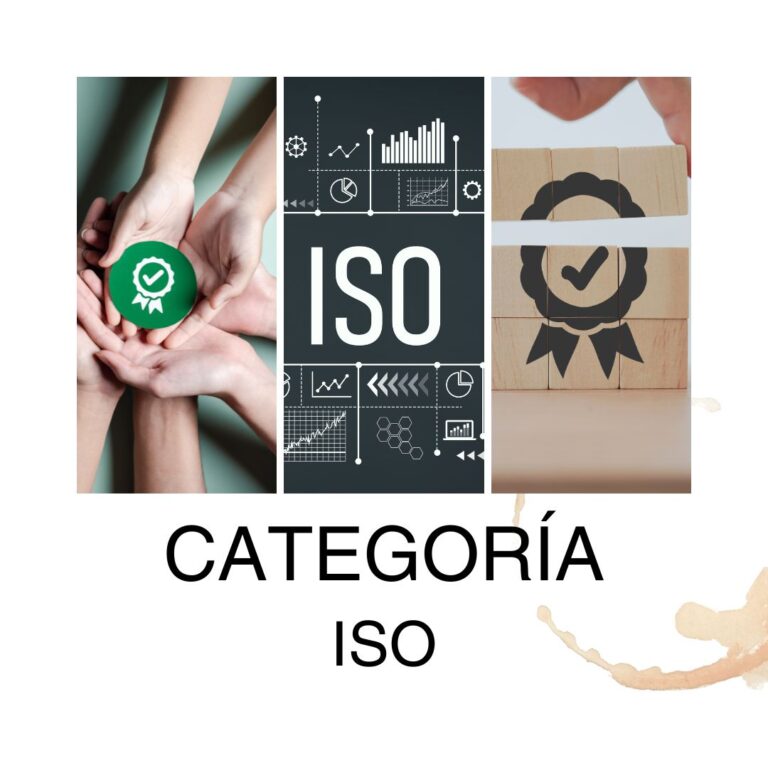 Categoría ISO