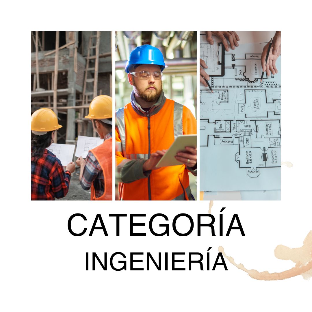 Categoría Ingeniería