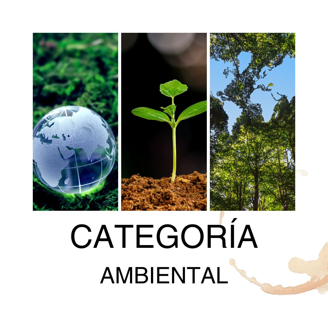 Categoría Ambiental